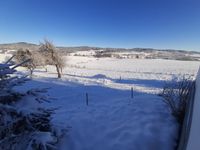 Winter in Gr&uuml;nbach