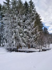 Bachlandschaft im Winter in Gr&uuml;nbach
